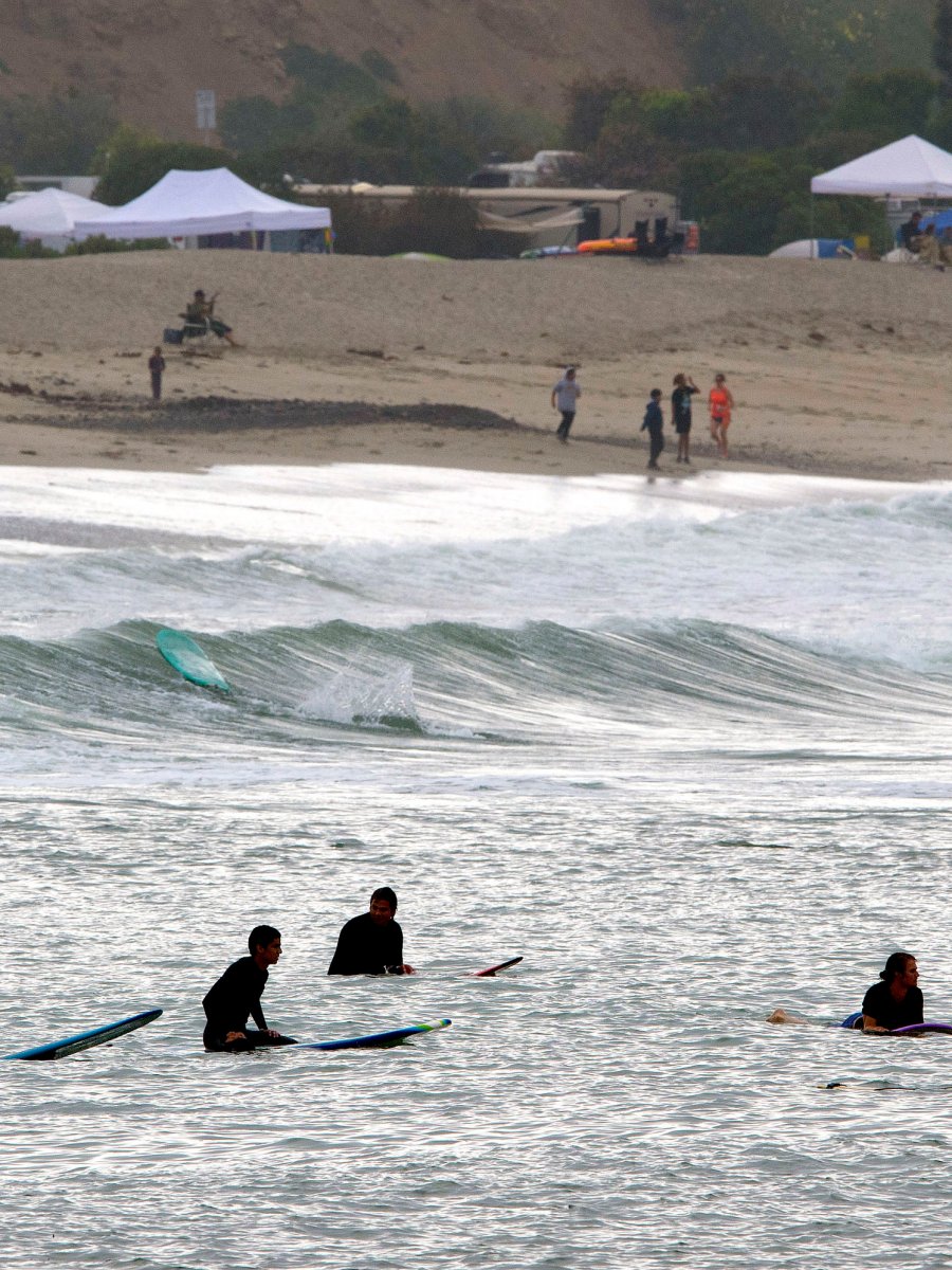 Surfing During a&nbsp;Pandemic